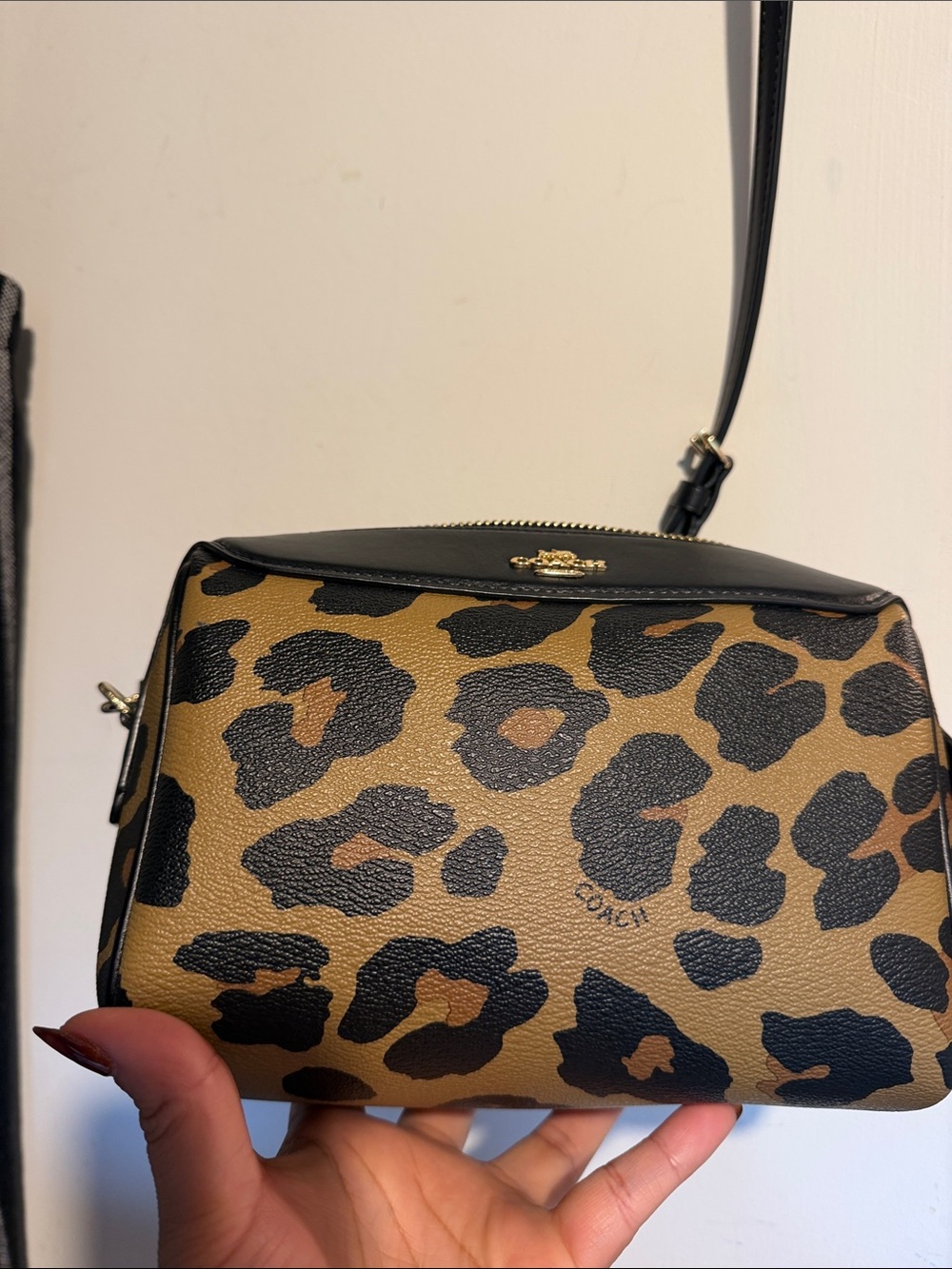 Coach Leopard-Print Crossbody in Brown and Black